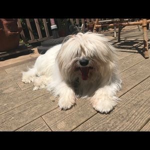 Meet your Posher, Ellen